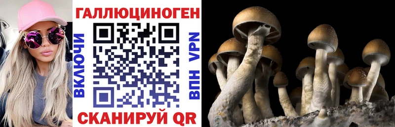 где можно купить   Харабали  Псилоцибиновые грибы мицелий 